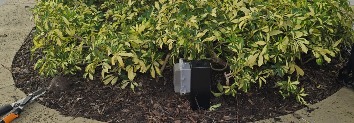 Shrub trimming and landscape bed cleanup in progress by H3 Industries in Palm Beach Gardens